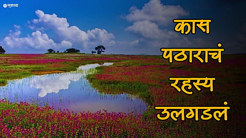 Kaas Pathar rahasya