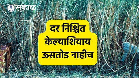 साखर कारखान्यांनी दर जाहीर केल्याशिवाय ऊसतोडी केल्यास गुन्हे दाखल करा, शिरटी ग्रामपंचायतीचा निर्णय 