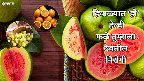 Healthy Fruits For Winter