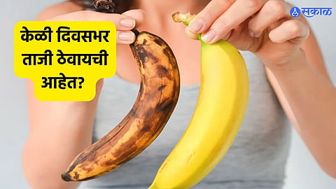 Banana 