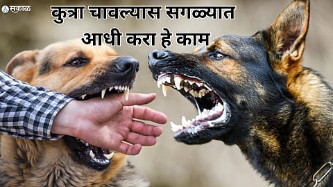 Dog Bite