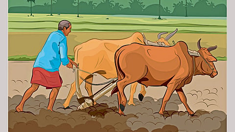 Farmer