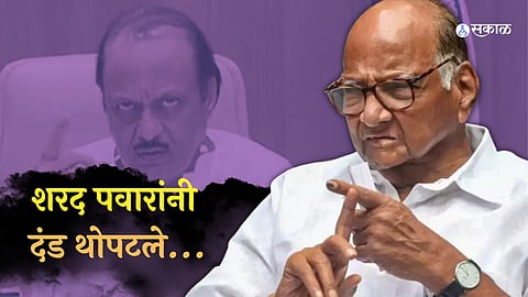 Sharad Pawar Politics