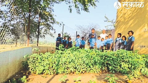 Principal Kailas Bachhao, teacher Mahendra Bhamre while guiding the students of Zilla Parishad School in Chinchdar (Katarvel) about backyard garden.