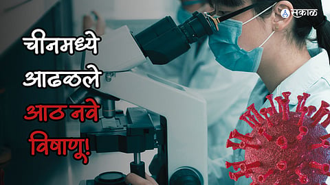 China New Virus