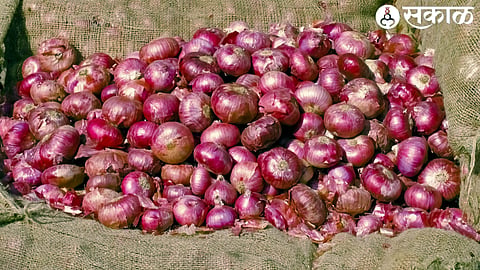 Onion News