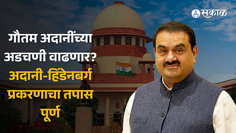 Adani Hindenburg Case