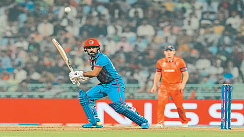 Cricket World Cup