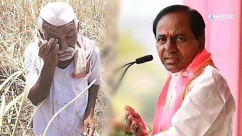 farmer suicide