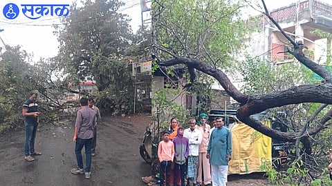 31.8 mm of rain in district in 24 hours Jalgaon Unseasonal Rain news 