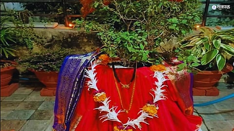 Tulsi vivah 2023 