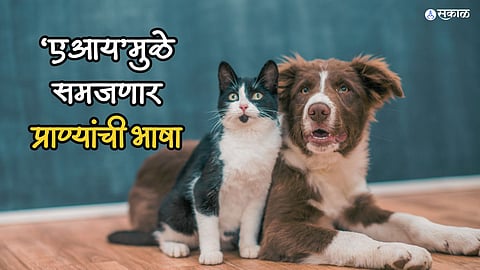 AI Pet Language
