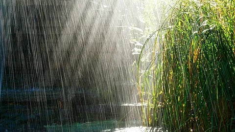 Artificial rain