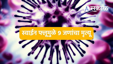 Swine Flu:साथरोगाने वाढवला ताप! नागपुरात डेंगीचे १३५४ रुग्ण, एकाचा मृत्यू; शहरात स्वाइन फ्लूचे ४९ रुग्ण, नऊ दगावले