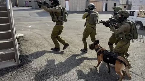 Israel-Hamas War