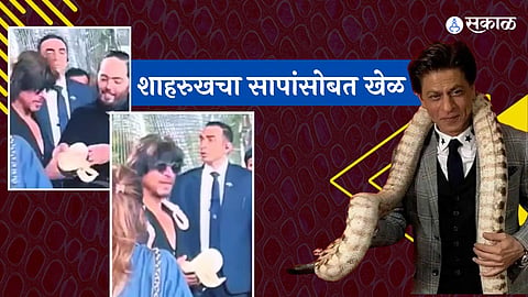 Shah Rukh Khan playing with snakes at Isha Ambani’s twins’ birthday party; video viral