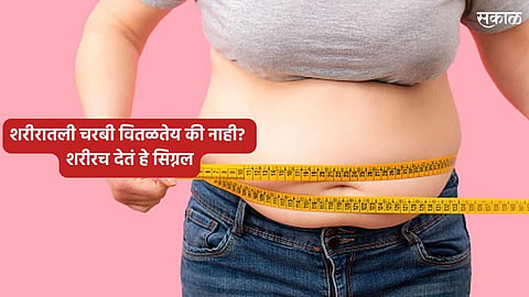 Weight Loss Tips