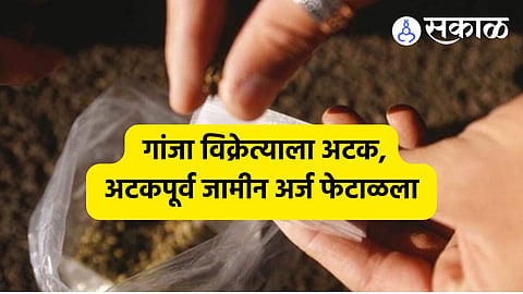 Solapur Crime:शिवफाटा गांजा प्रकरणात दुसरी अटक, आरोपीने खेड सत्र न्यायालयात दाखल केला होता अटकपूर्व जामीन अर्ज