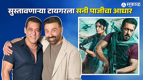Tiger 3 Movie Box Office Collection Salman Khan 