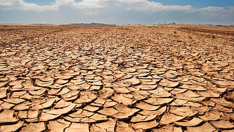 Drought