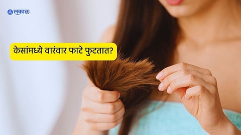 Hair Split Ends 