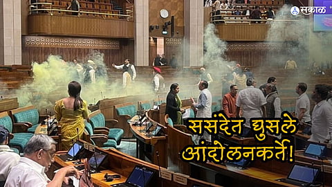 Parliament winter Session 2023  visitor jumped into LS chamber from gallery was seen leaping over benches  