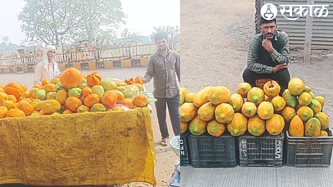Khadki farmers selling papaya on Old Agra Road in the city. In the second photograph, a youth buys papayas near a church.