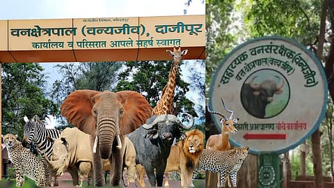 Dajipur Sanctuary