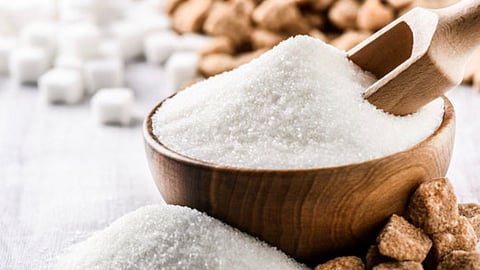 Sugar Factories