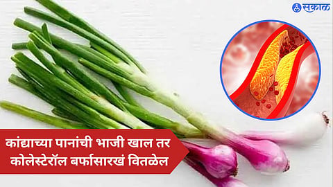 Spring Onion