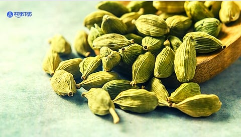 Benefits of Cardamom 