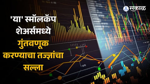 Expert Advice on Investing in these Smallcap Shares, Which Are These Shares 
