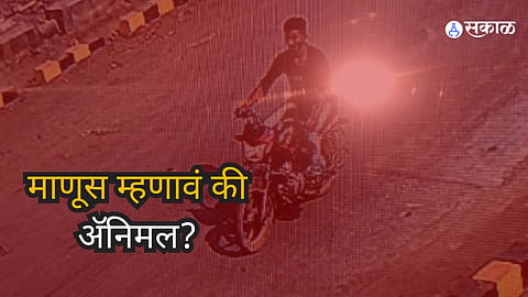Solapur Crime: शेतीच्या वादातून सोलापुरात भीषण कांड; चुलत्याचं शीर हातात घेऊन बाईकवरुन फिरत होता तरुण