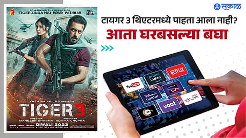 Tiger 3 OTT Release: 
