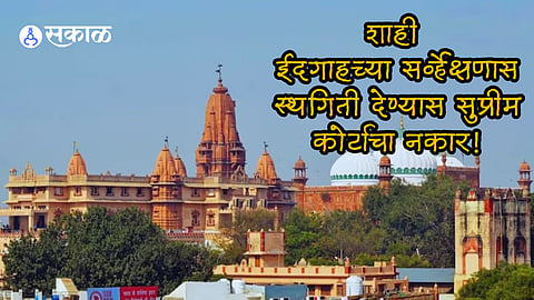 Supreme Court refused to stay an Allahabad High Court order survey of the Shahi Idgah mosque complex adjacent Shri Krishna Janmabhoomi Temple Mathura 