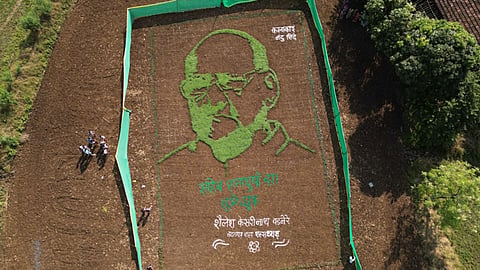 Sharad Pawar Grass Painting
