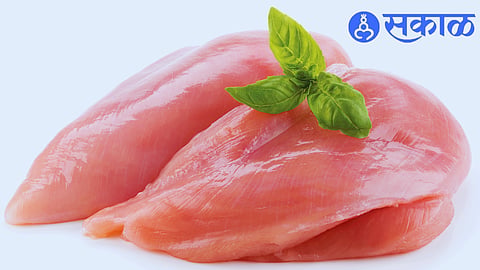 meat 