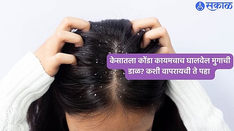 Hair Care Tips
