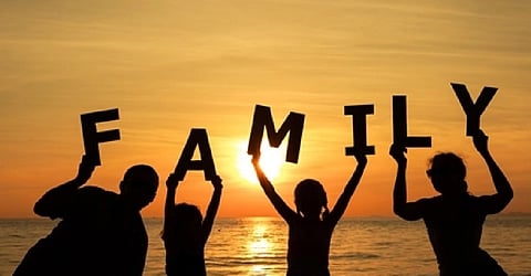 family tree