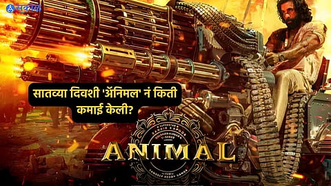 Animal Box Office Collection Day 7: 
