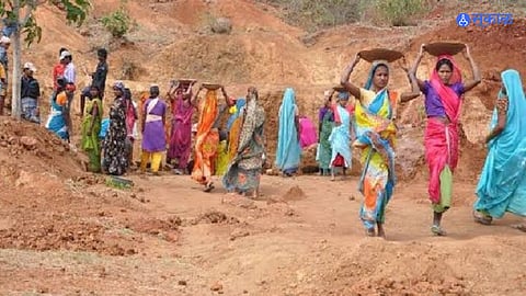 Manarega: मंगळवेढ्यातील अल्पभूधारक शेतकरी मनरेगा लाभांपासून वंचित 