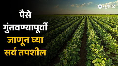 Nova Agritech IPO