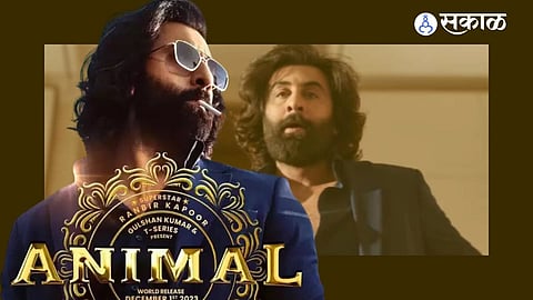 Ranbir Kapoor doubled his fees after the success of Animal : 