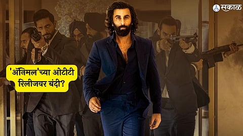 Animal OTT Release has been blocked by the producers cine 1 studios themselves