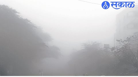 The cold weather has increased in the area and it is currently fogging here every day. Picture taken by Kiran Suryavanshi on Friday morning of a sheet of mist.