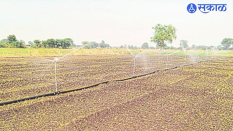 Water continued through drip irrigation for onion due to lack of water distribution.