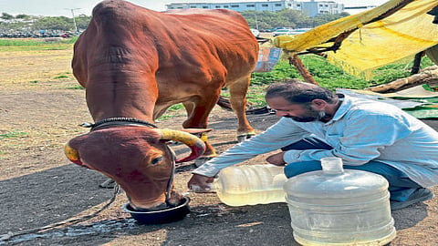 parbhani 