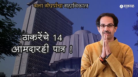 Shiv Sena vs Shiv Sena Verdict 