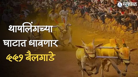 nagpur 