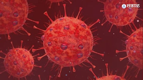 Coronavirus